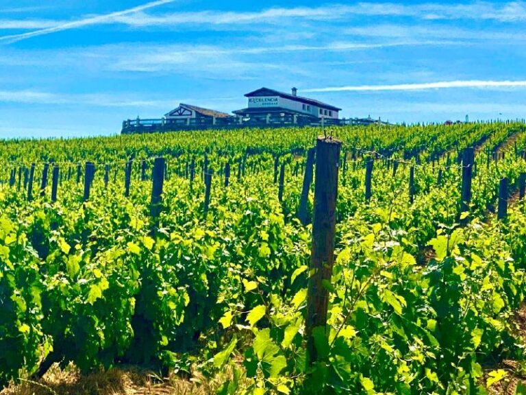 visita guiada bodega excelencia 16 768x576