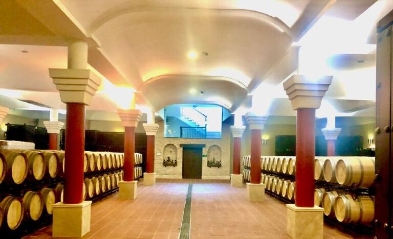 visita guiada bodega excelencia 18 768x468