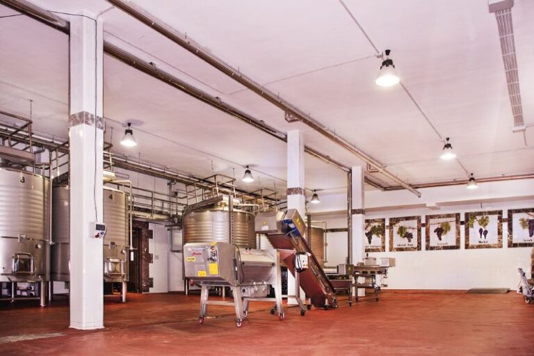 visita guiada bodega excelencia 2 768x512