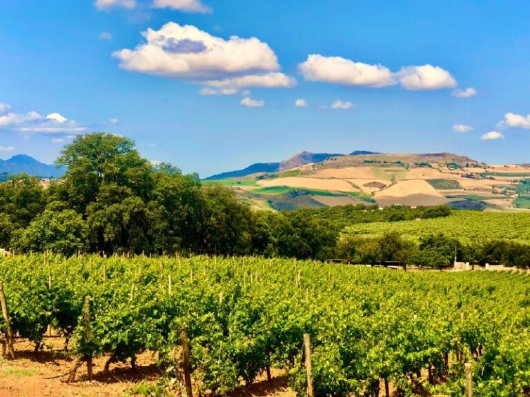 visita guiada bodega excelencia 20 768x576