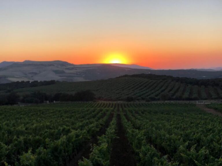 visita guiada bodega excelencia 22 768x576