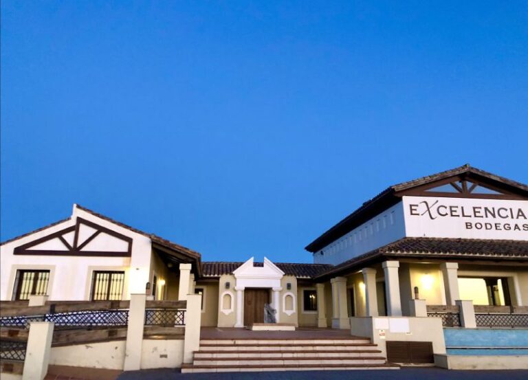 visita guiada bodega excelencia 8 768x553