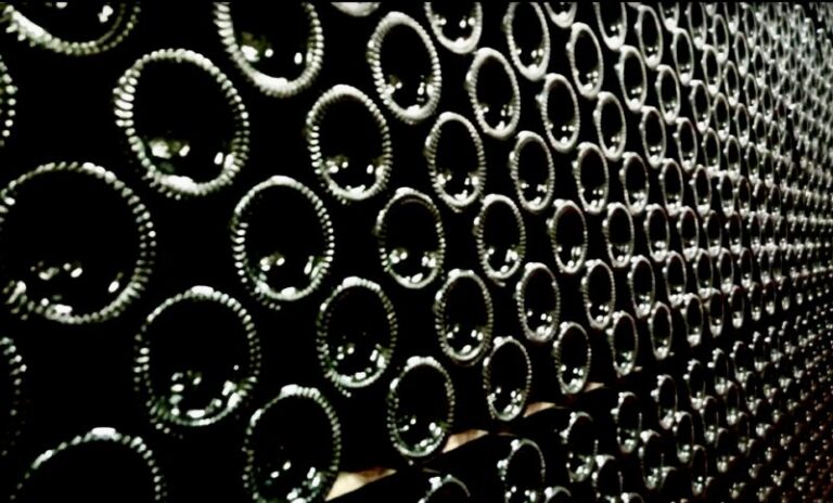 visita guiada bodega excelencia 9 768x464