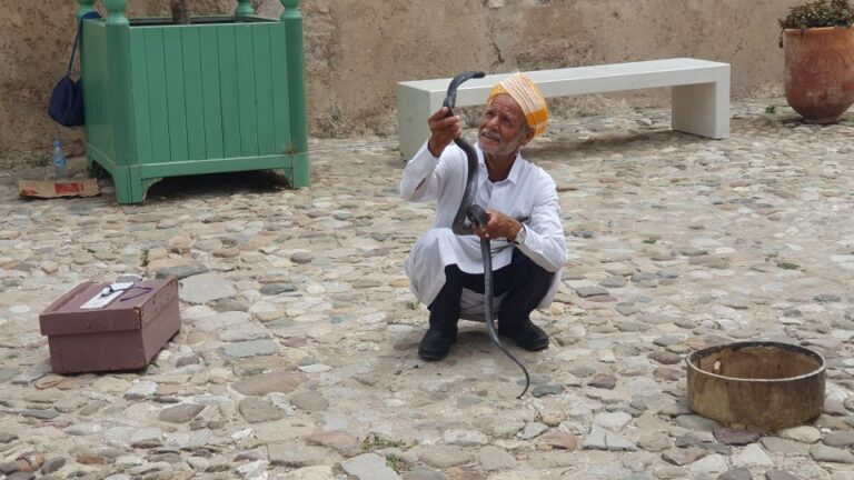 Excursion a Tanger desde Malaga 8 768x432