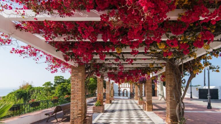 Nerja y Frigiliana desde Malaga excursion 6 768x433