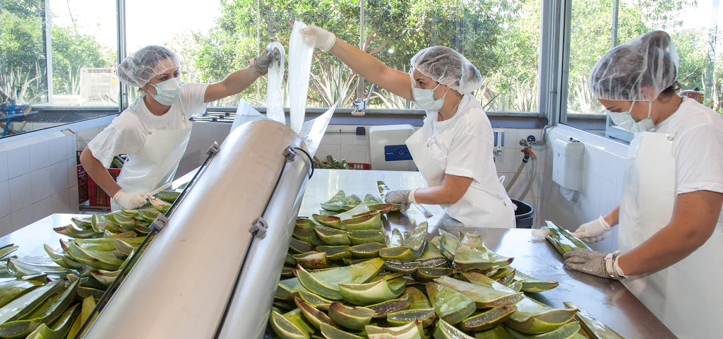 Laboratorio Aloe Vera