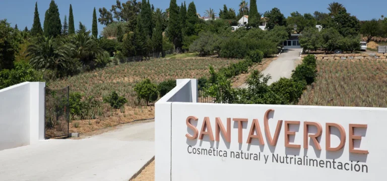 aloe experience aloe vera santa verde 1 768x360