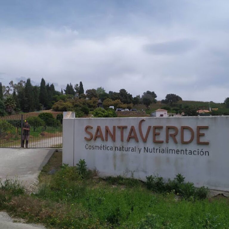 aloe experience aloe vera santa verde 4 768x768