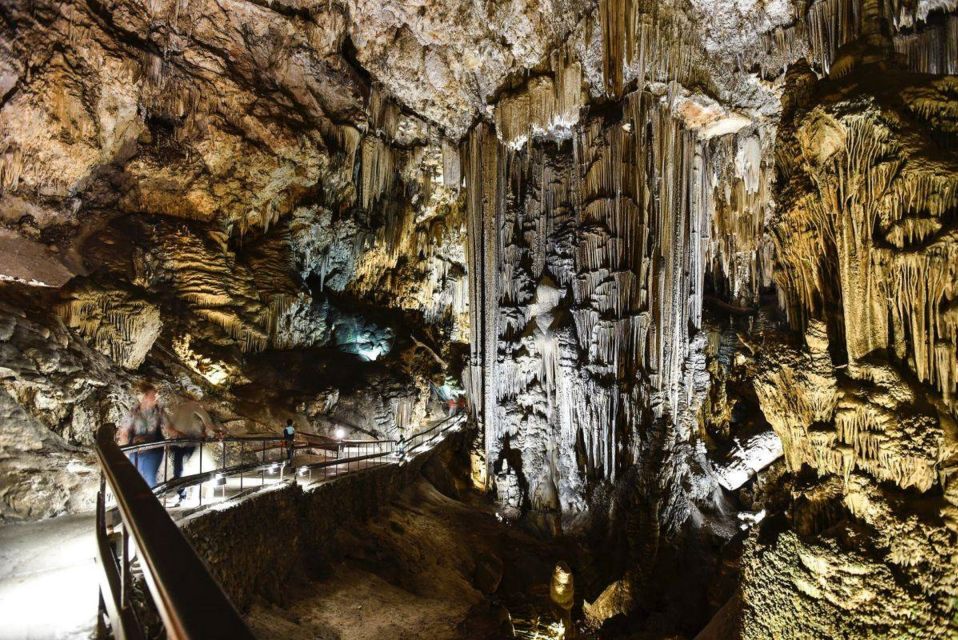 Excursion a Cueva de Nerja