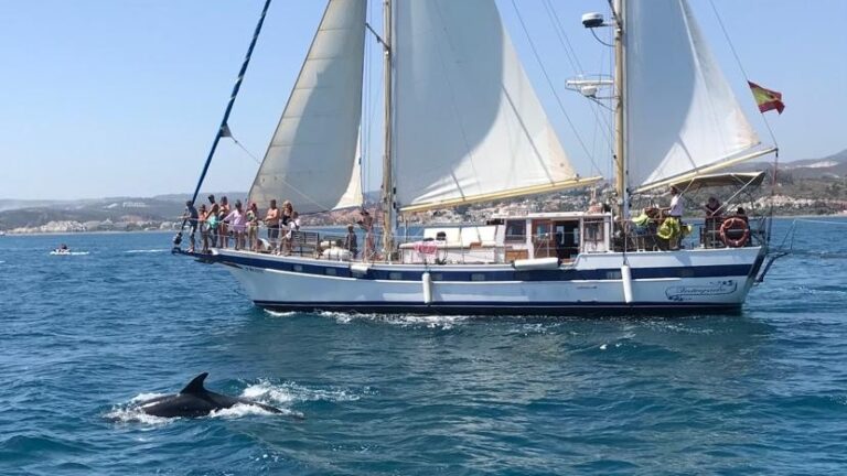 velero intrepido 1 768x432