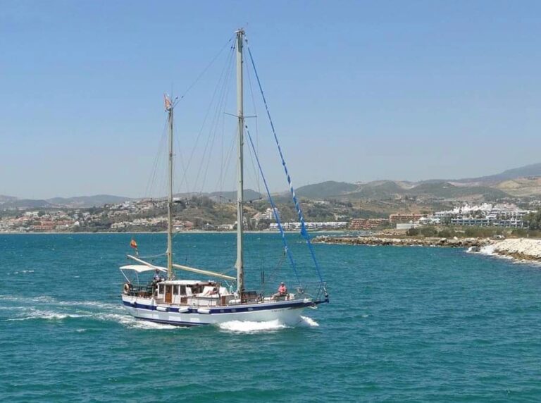 velero intrepido 2 768x572