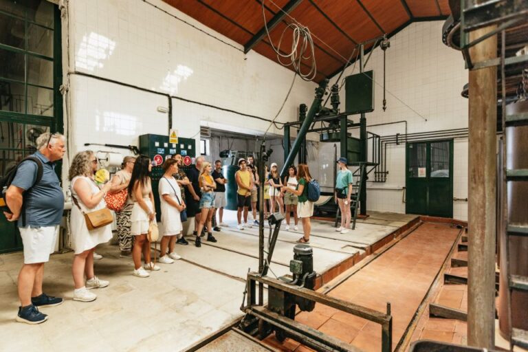 Excursion desde sevilla a Ronda 19 768x512