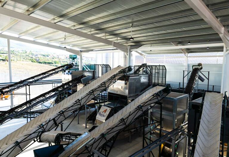 oleoturismo en malaga 5 1 768x528