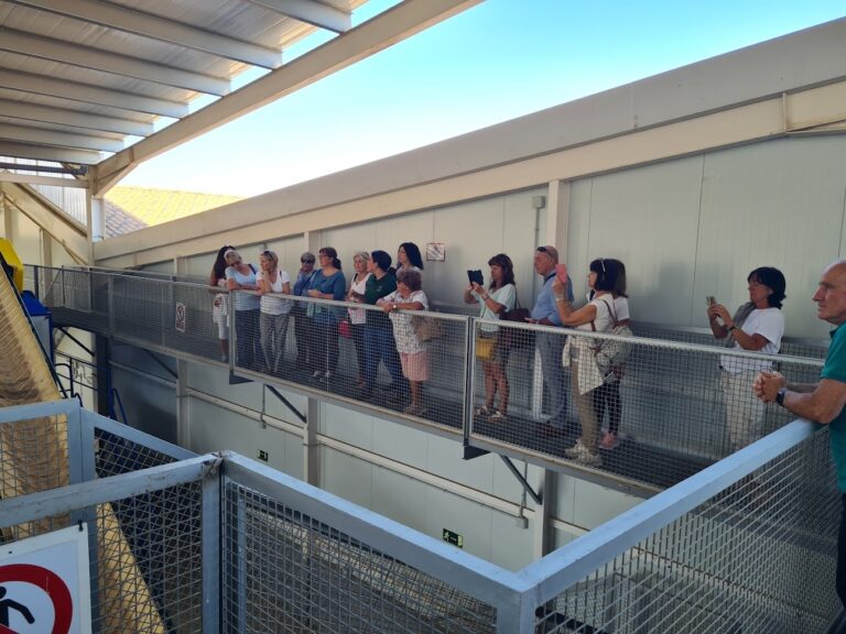 visita museo del aceite 6 768x576