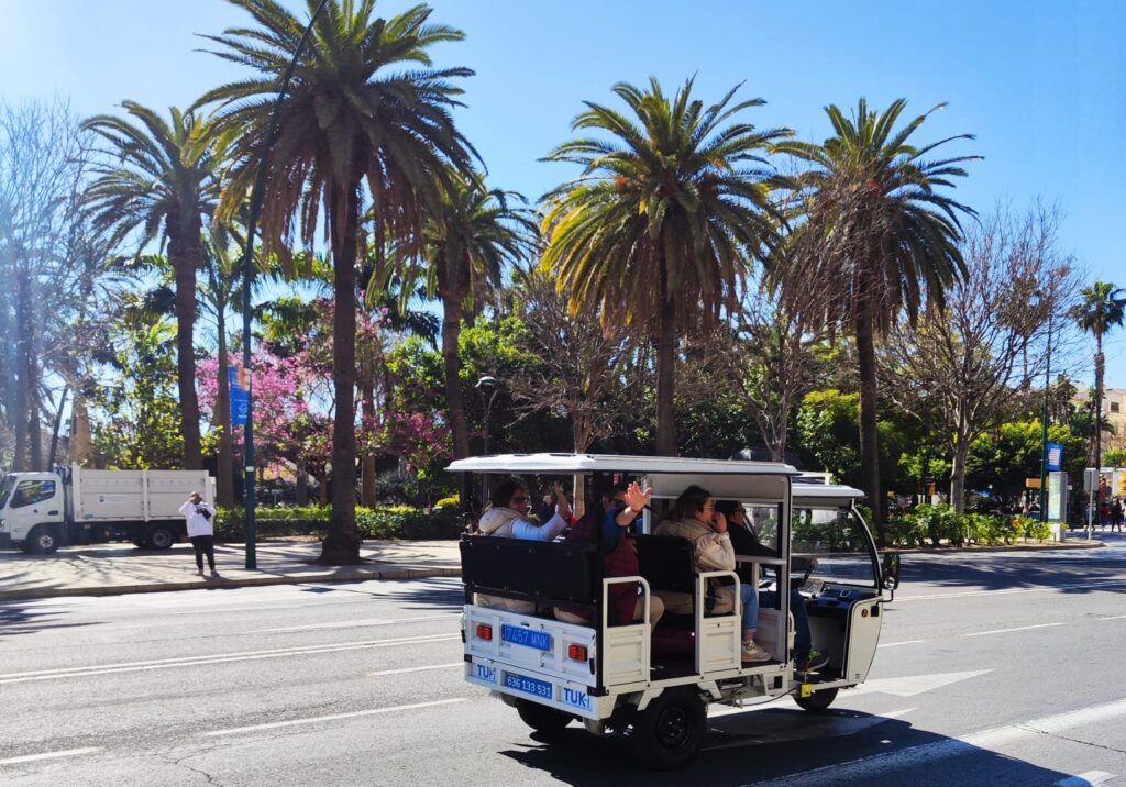 Tour en Tuk Tuk para grupos