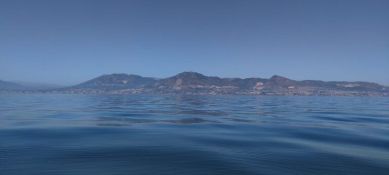 Avistamiento delfines yate fuengirola 4 768x346