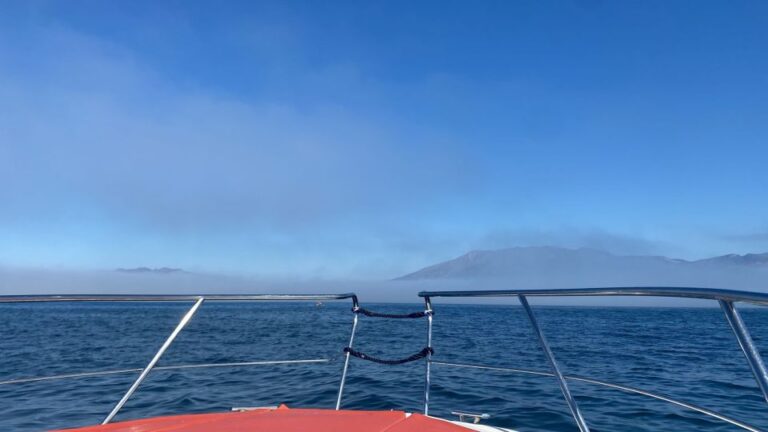 Avistamiento delfines yate fuengirola 5 768x432