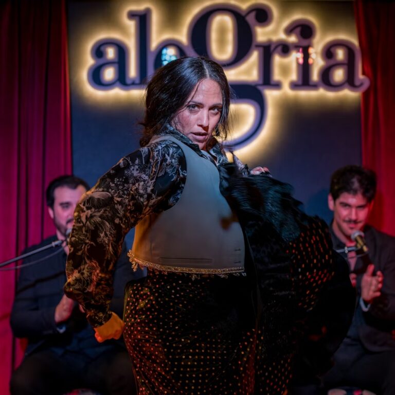 Cena con Espectaculo Flamenco en malaga 2 768x768