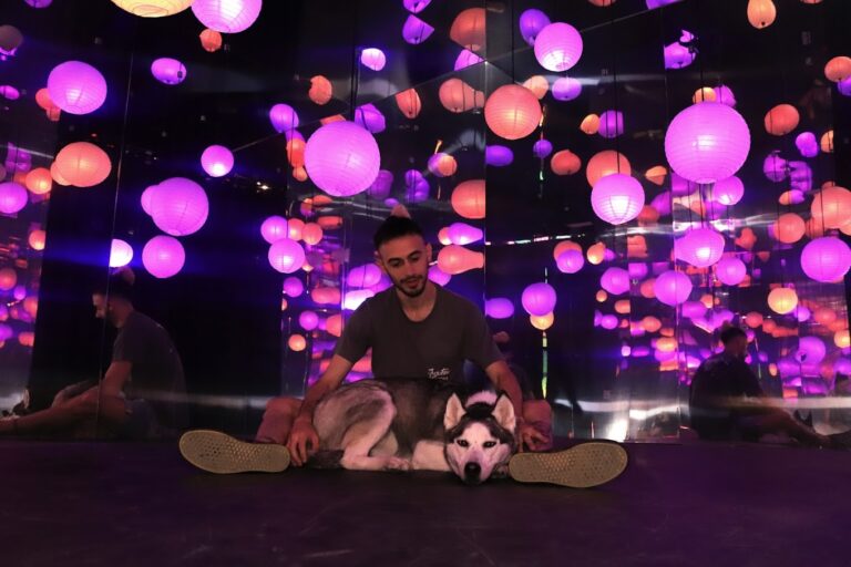 Cliche Selfie Galery 6 768x512