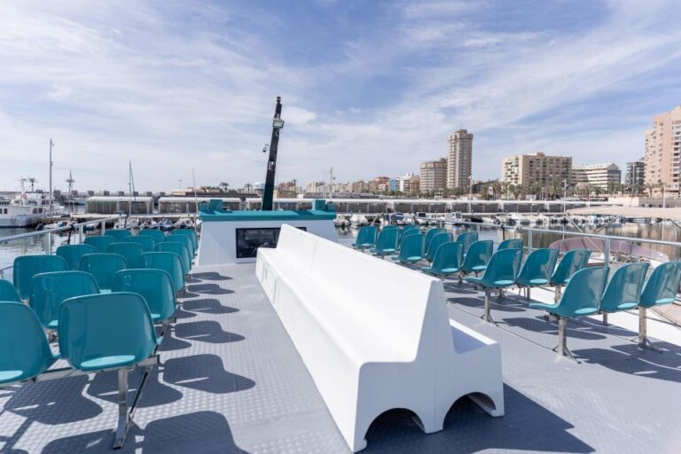 Excursion para avistar delfines desde Fuengirola 1 768x512