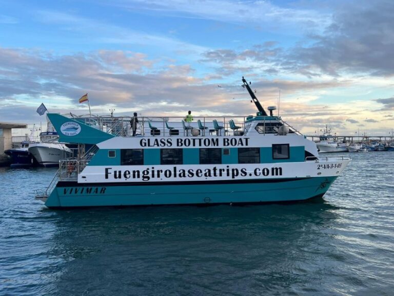 Excursion para avistar delfines desde Fuengirola 2 768x576