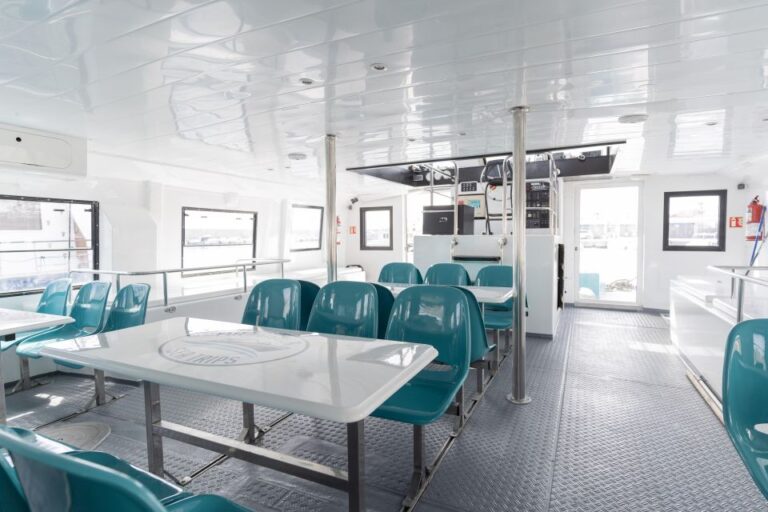 Excursion para avistar delfines desde Fuengirola 5 768x512