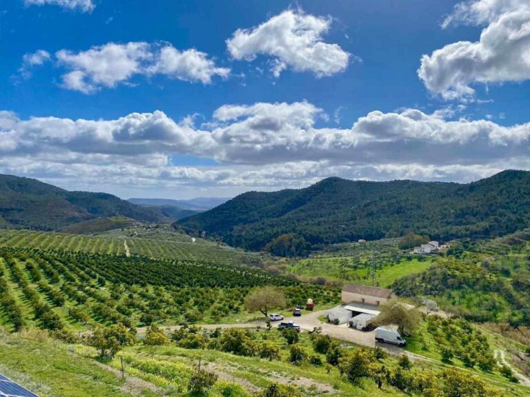 visita finca ecologica 6 768x576