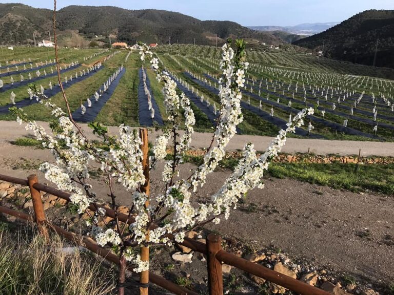 visita finca ecologica solmark 3 768x576
