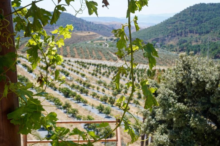 visita finca ecologica solmark 5 768x512