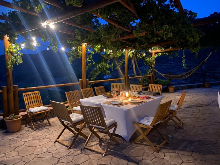 visita finca solmark 8 768x576