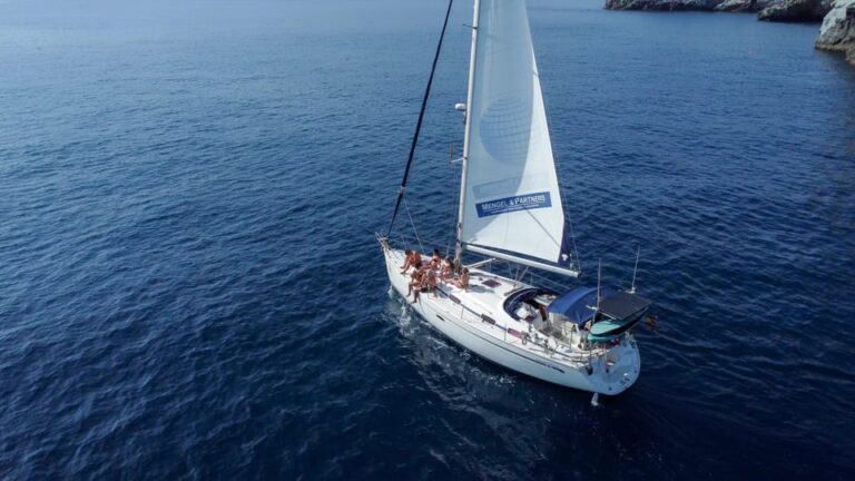 Avistamiento delfines en Velero