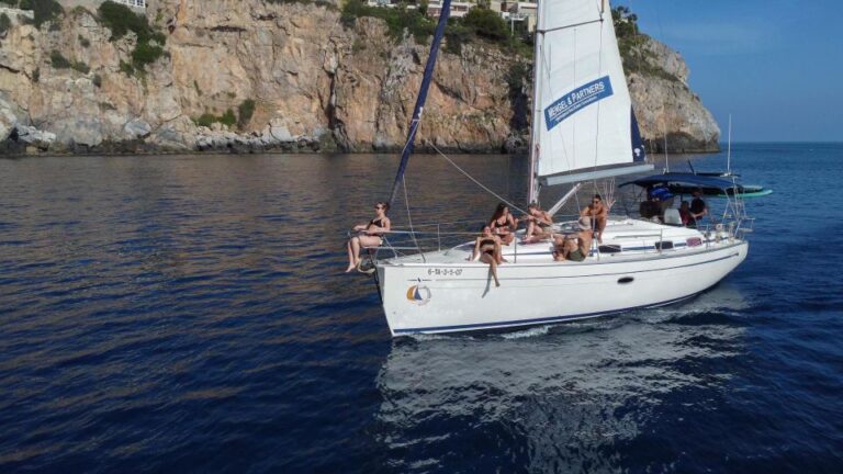 Avistamiento delfines en velero 2 768x432