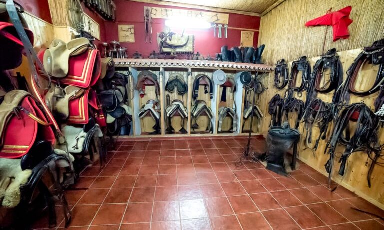 Espectaculo Flamenco en Fuengirola 1 2 768x460