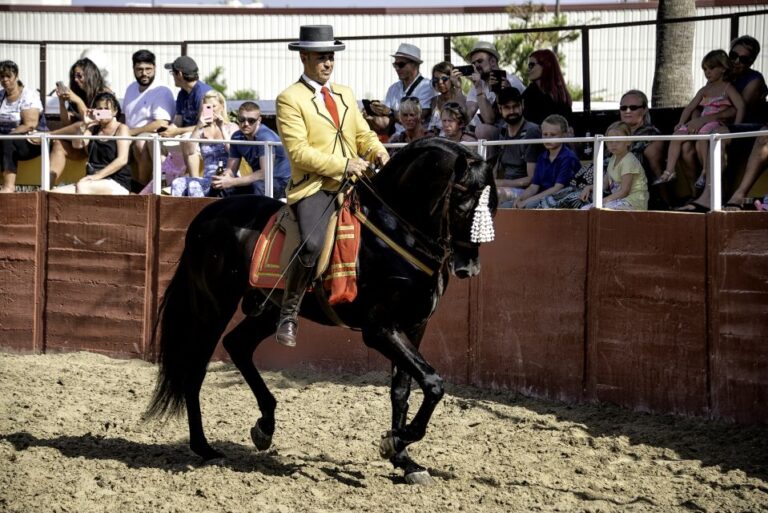 Espectaculo de caballos fuengirola 2 768x513