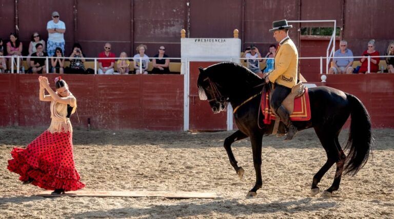 Espectaculo de caballos fuengirola 3 768x426