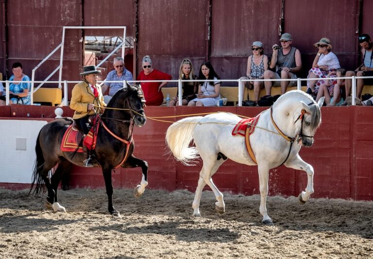 Espectaculo de caballos fuengirola 6 768x534