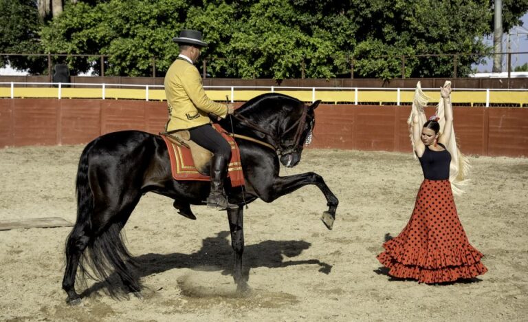 Espectaculo ecuestre cartujano 10 768x468