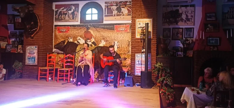 Cena co espectaculo flamenco