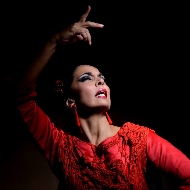 Teatro Flamenco de Malaga  1  1