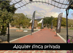 alquiler de espacios