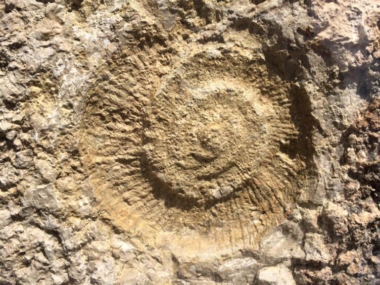 Caminito del rey en eleman 9 768x576