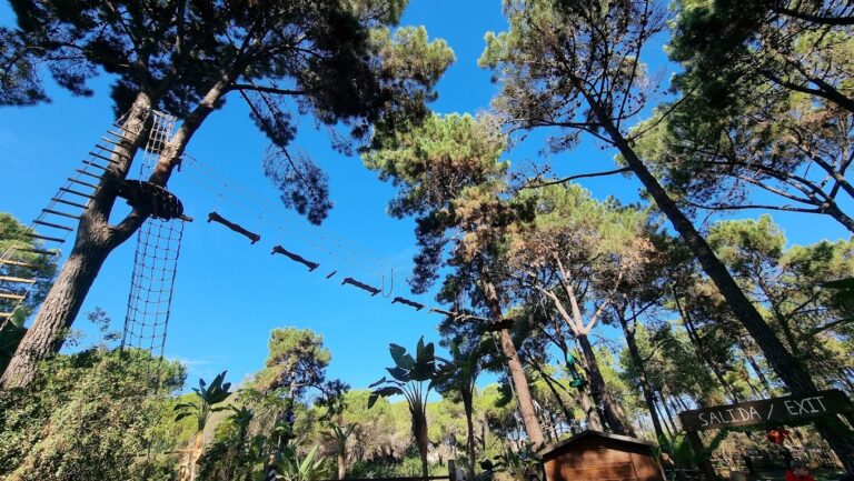 Parque multiaventuras Amazonia entradas 2 768x433