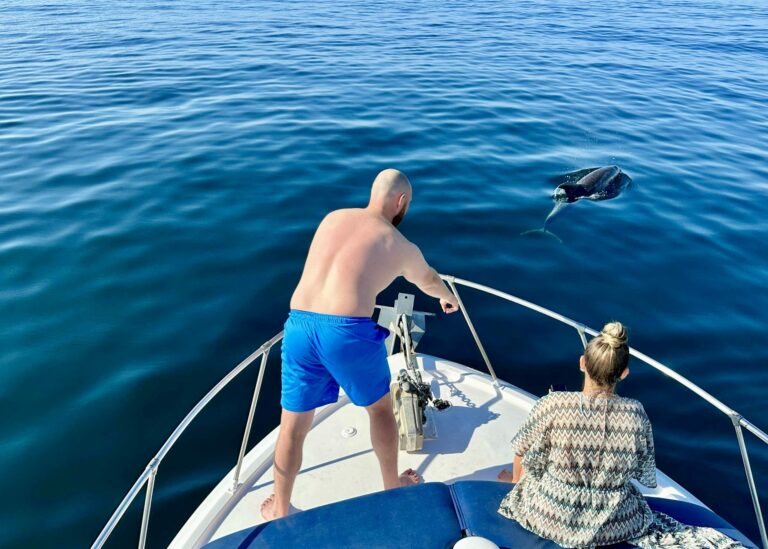 Dolphin Tour en Benalmadena 2 2