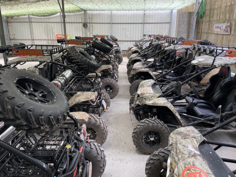 Ruta en Buggy sierra Marbella 2 768x576