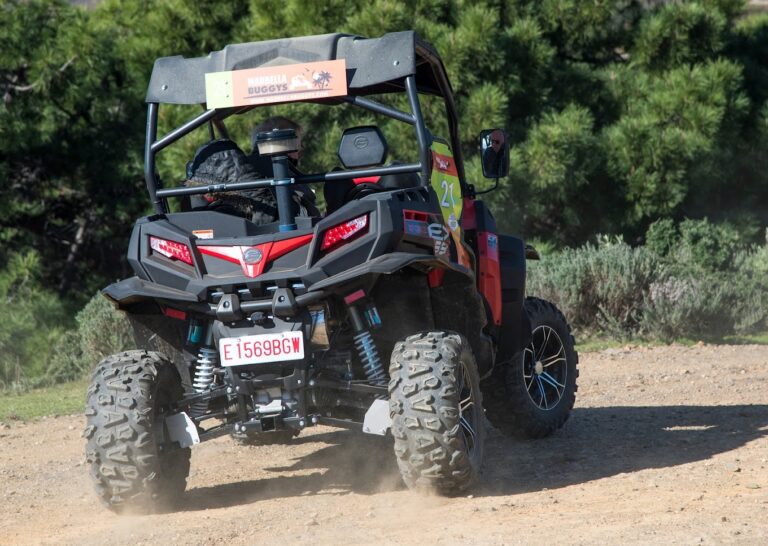 Tour en Buggy sierra Marbella 5 768x546