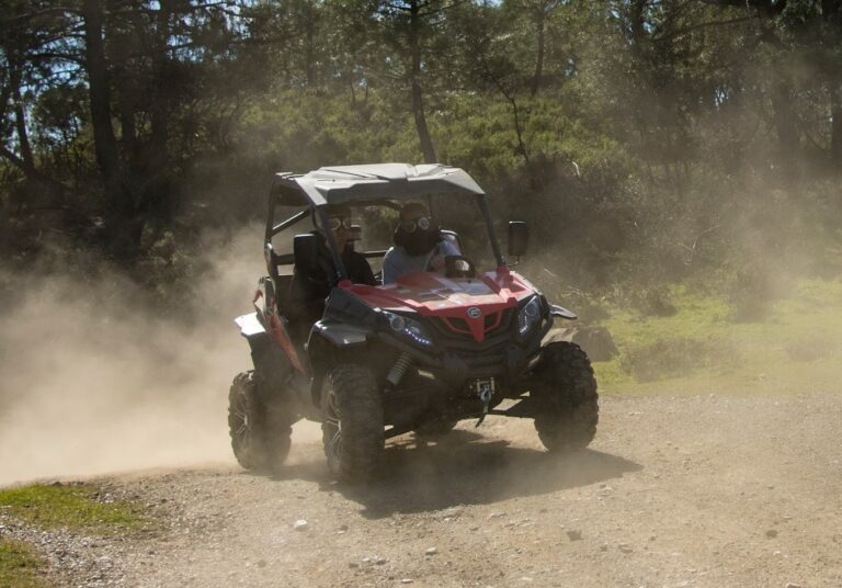 Tour en Buggy sierra Marbella 6 768x536