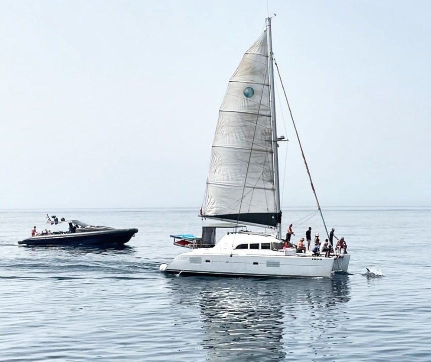 avistamiento de delfines en marbella 1 2