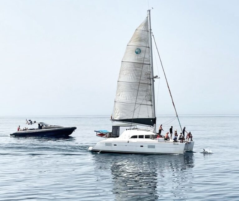 avistamiento de delfines en marbella 1 768x646