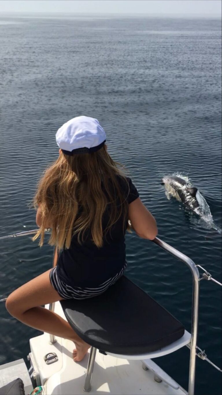 avistamiento de delfines en marbella 3 768x1367