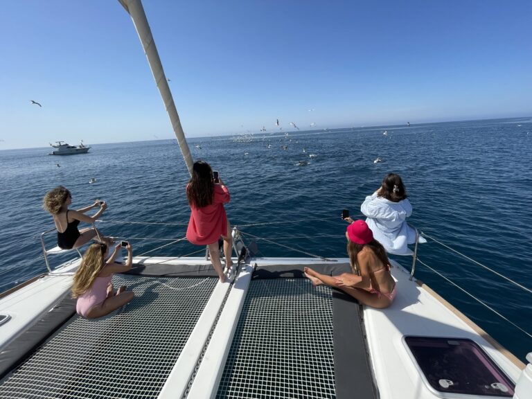 avistamiento de delfines en marbella 4 768x576